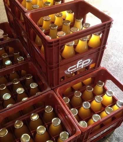 Bouteilles jus de pommes