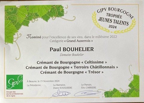 Diplome jeune talent